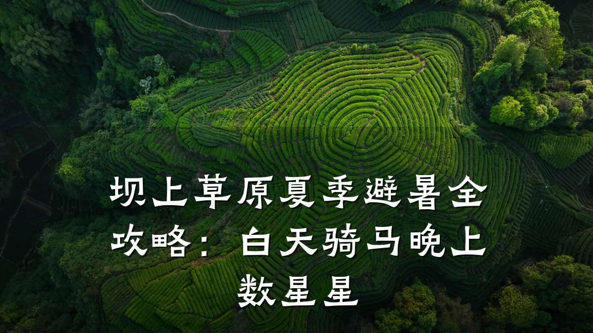 坝上草原夏季避暑全攻略：白天骑马晚上数星星