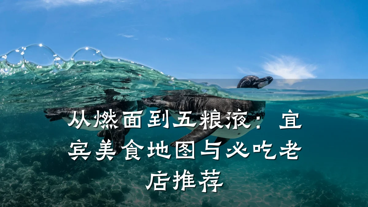 从燃面到五粮液：宜宾美食地图与必吃老店推荐