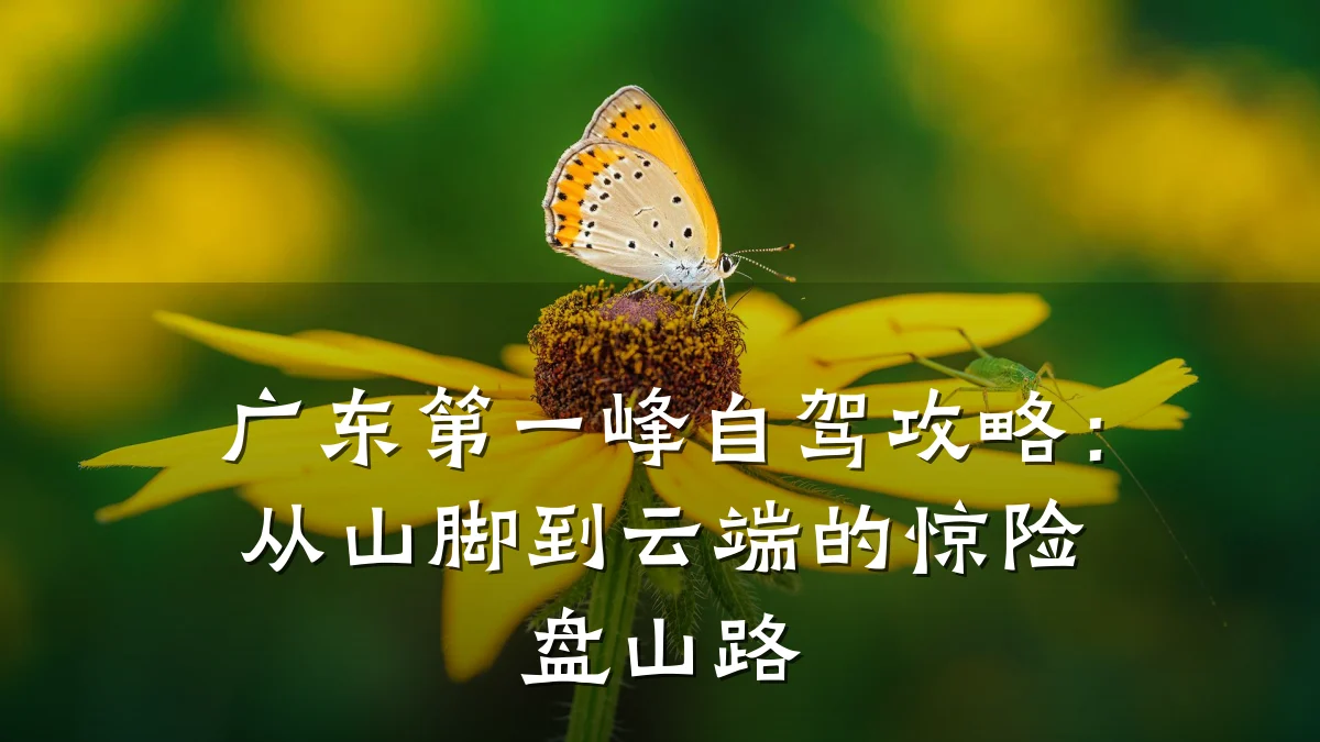 广东第一峰自驾攻略:从山脚到云端的惊险盘山路