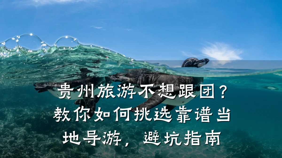 贵州旅游不想跟团?教你如何挑选靠谱当地导游,避坑指南