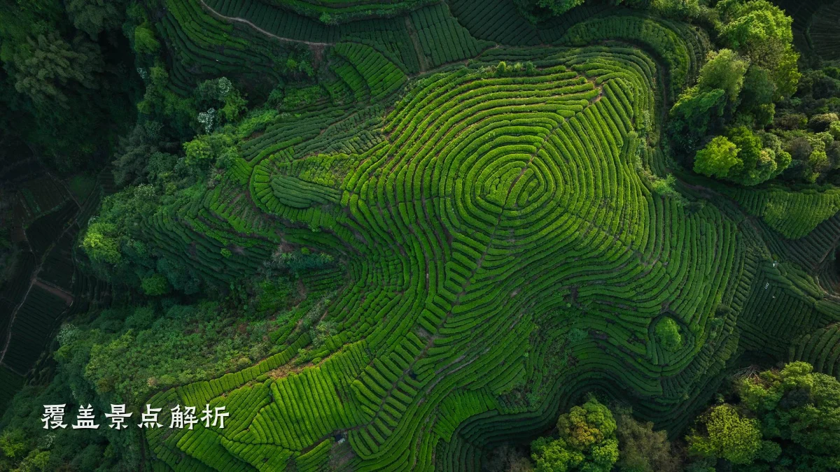 覆盖景点解析