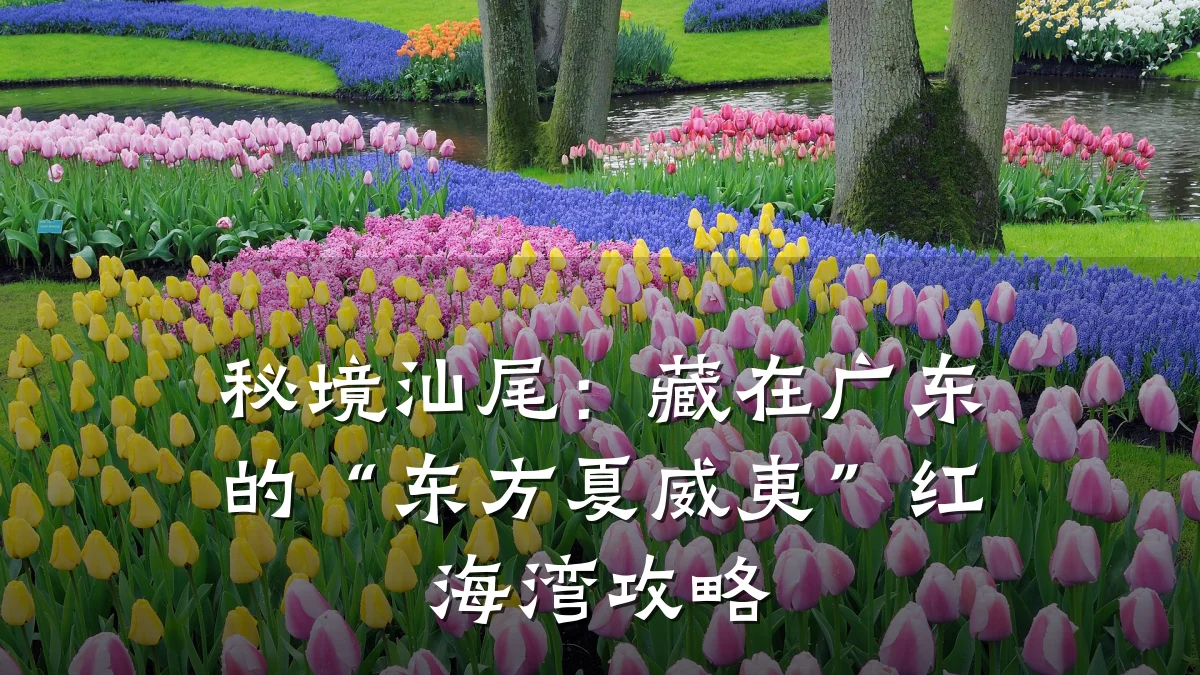 秘境汕尾：藏在广东的“东方夏威夷”红海湾攻略