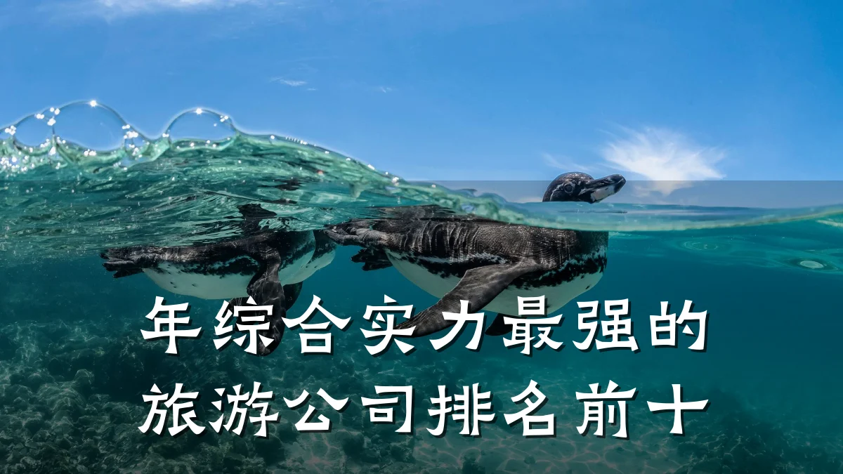 年综合实力最强的旅游公司排名前十