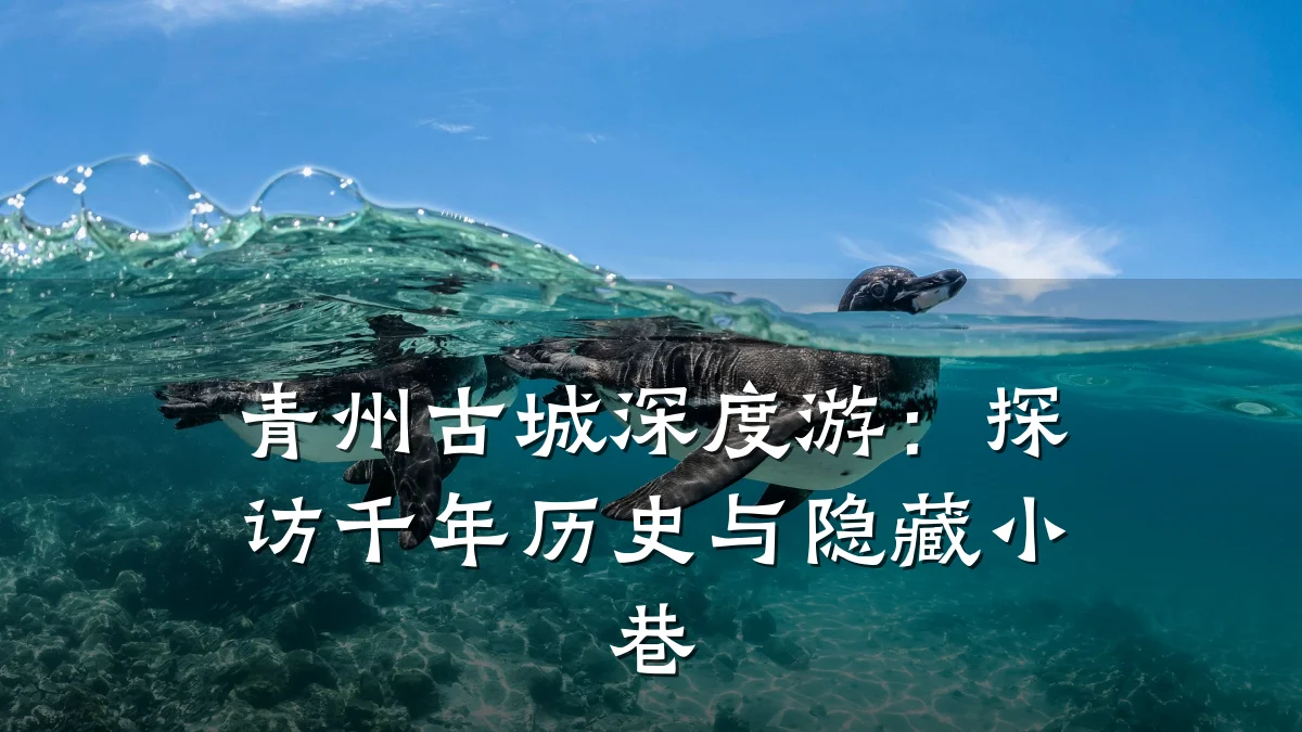 青州古城深度游：探访千年历史与隐藏小巷
