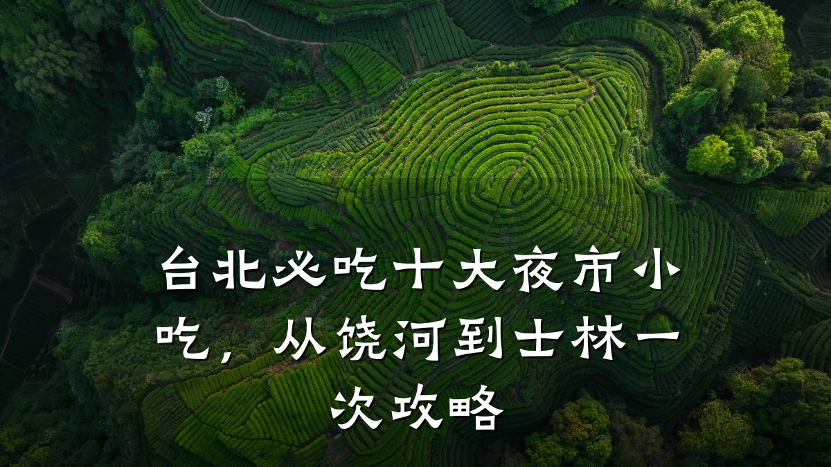 台北必吃十大夜市小吃，从饶河到士林一次攻略