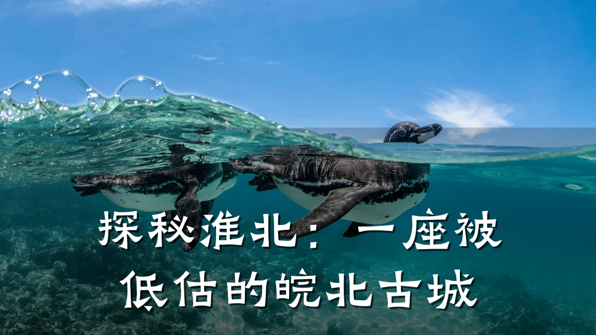 探秘淮北:一座被低估的皖北古城
