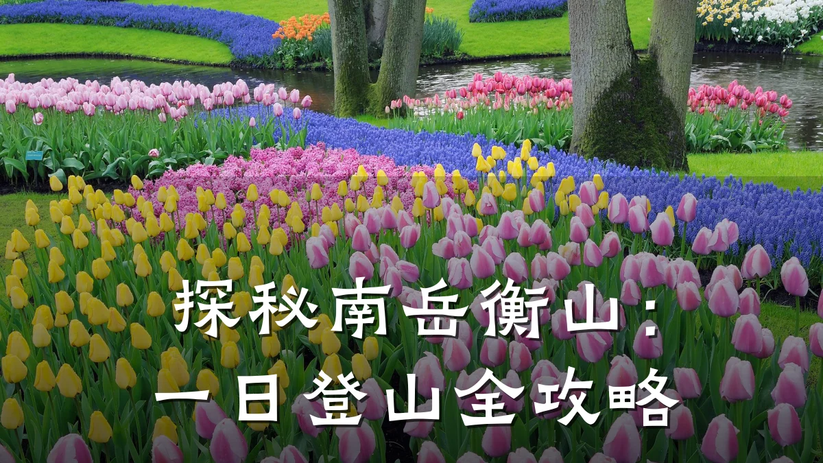 探秘南岳衡山：一日登山全攻略