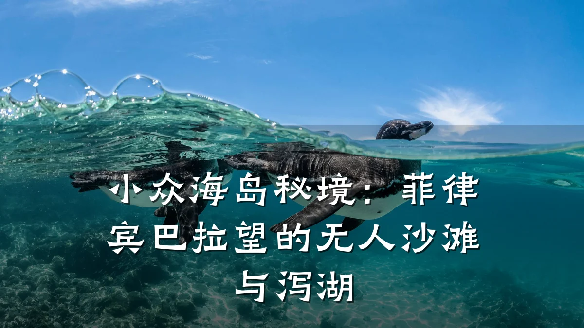 小众海岛秘境：菲律宾巴拉望的无人沙滩与泻湖