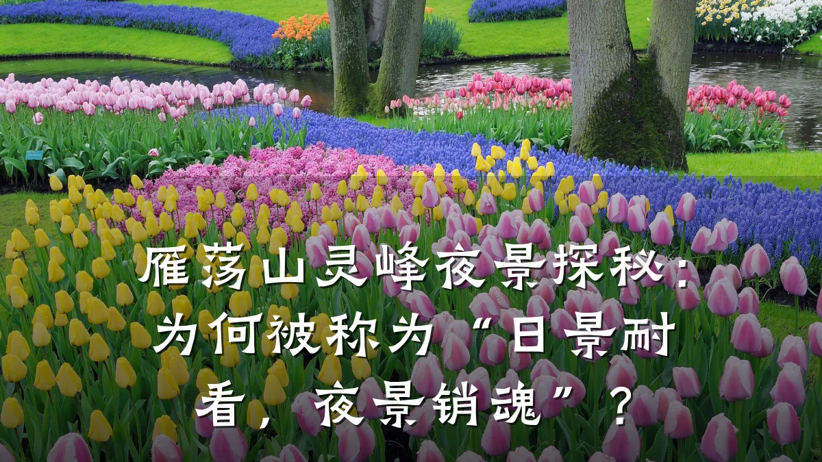 雁荡山灵峰夜景探秘：为何被称为“日景耐看，夜景销魂”？