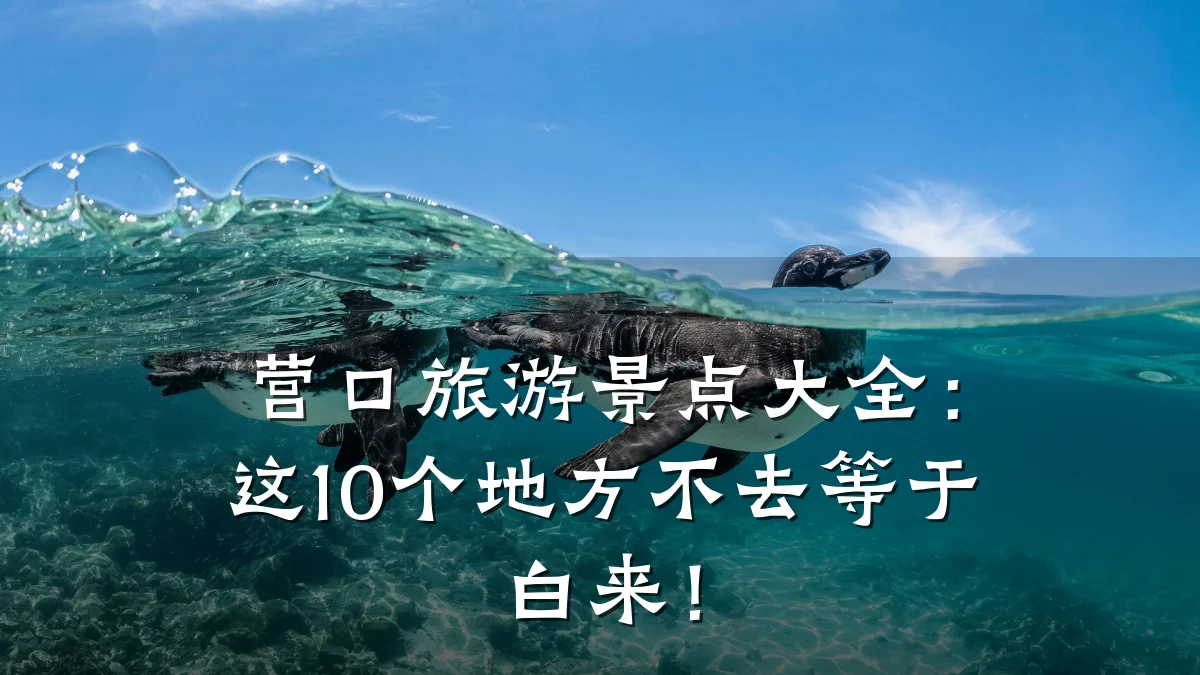 营口旅游景点大全：这10个地方不去等于白来！