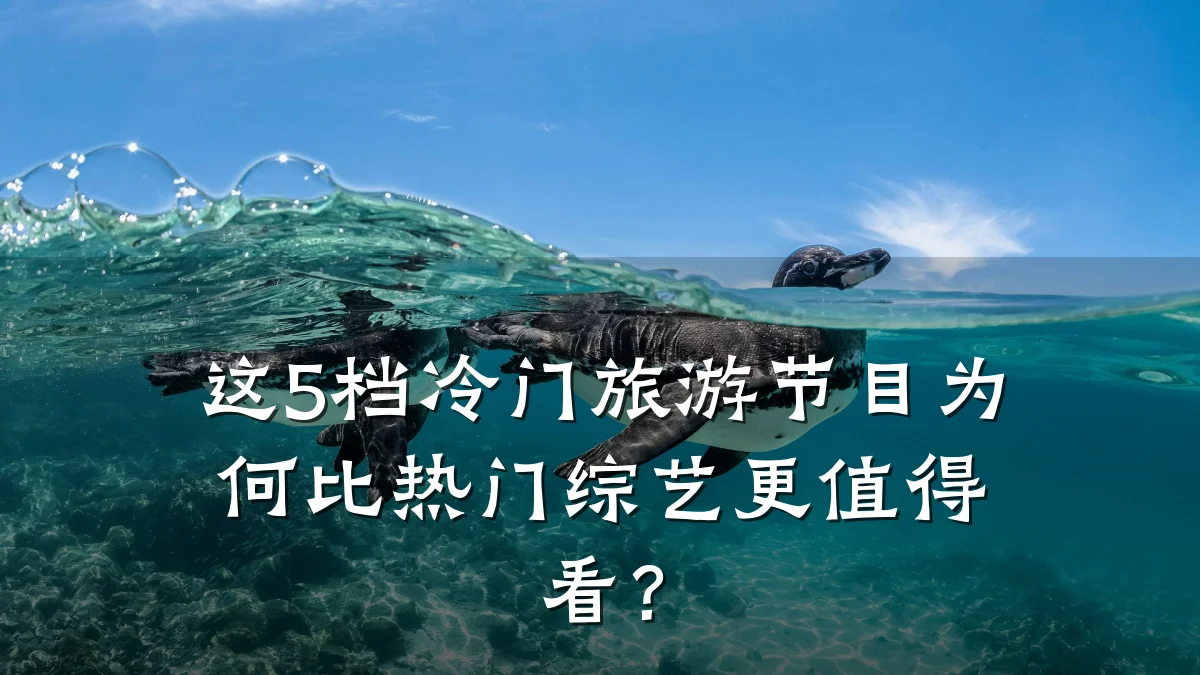 这5档冷门旅游节目为何比热门综艺更值得看?