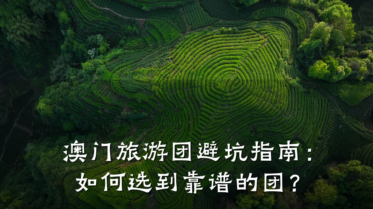 澳门旅游团避坑指南:如何选到靠谱的团?