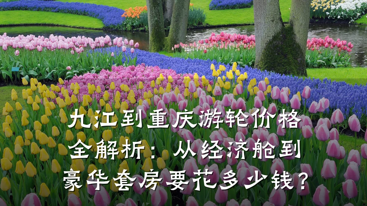 九江到重庆游轮价格全解析:从经济舱到豪华套房要花多少钱?