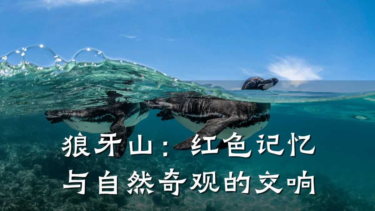 狼牙山：红色记忆与自然奇观的交响