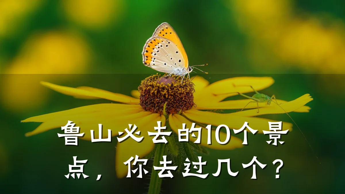 鲁山必去的10个景点，你去过几个？