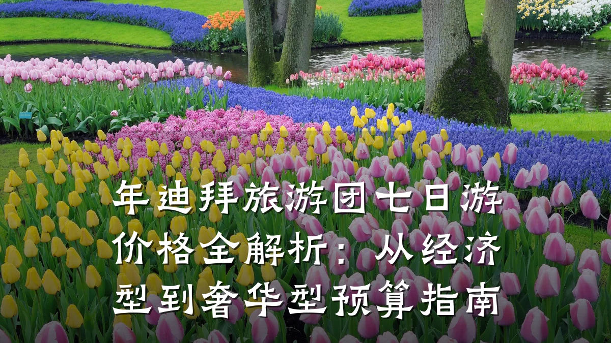 年迪拜旅游团七日游价格全解析:从经济型到奢华型预算指南