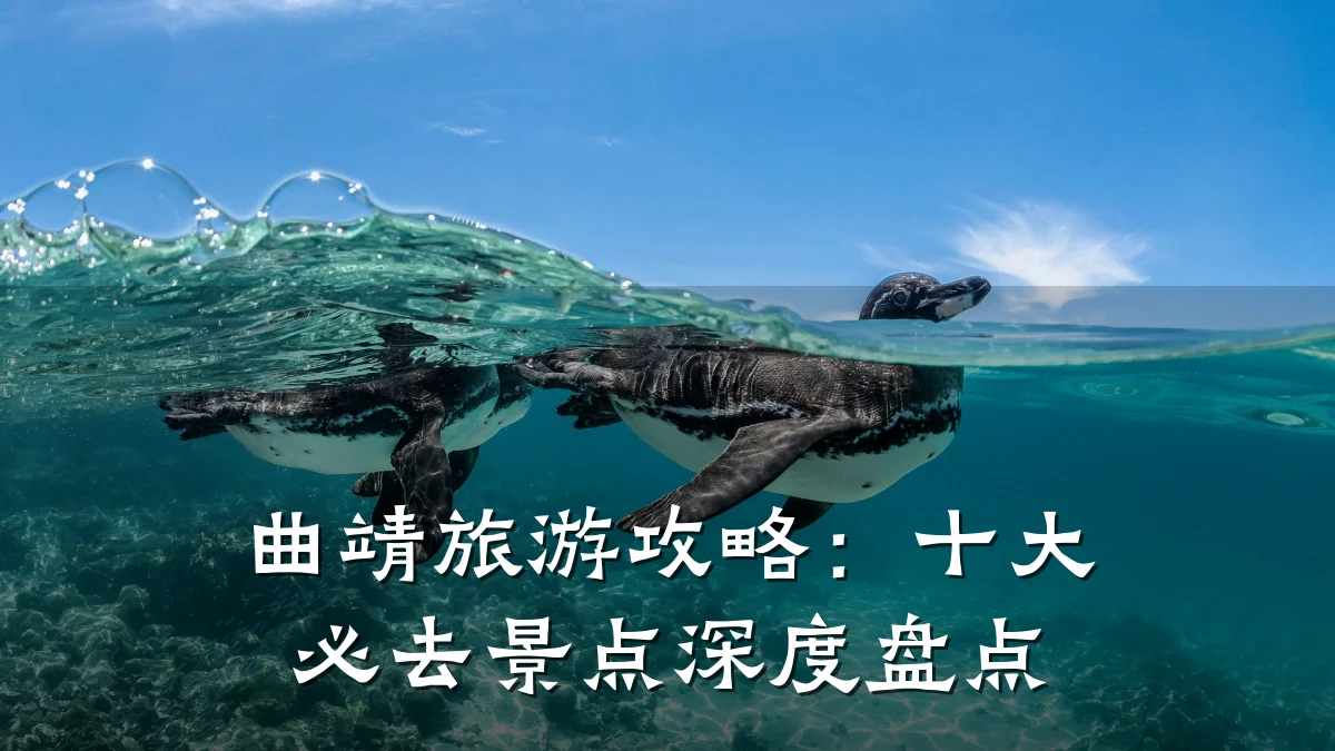 曲靖旅游攻略：十大必去景点深度盘点