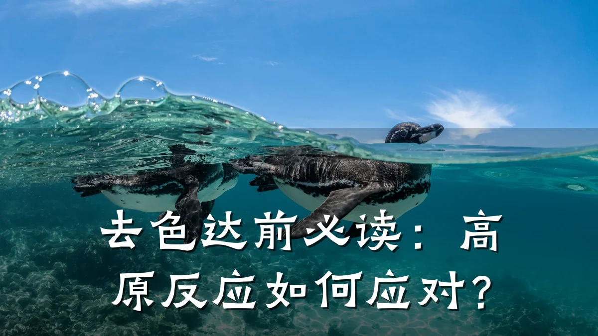 去色达前必读：高原反应如何应对？
