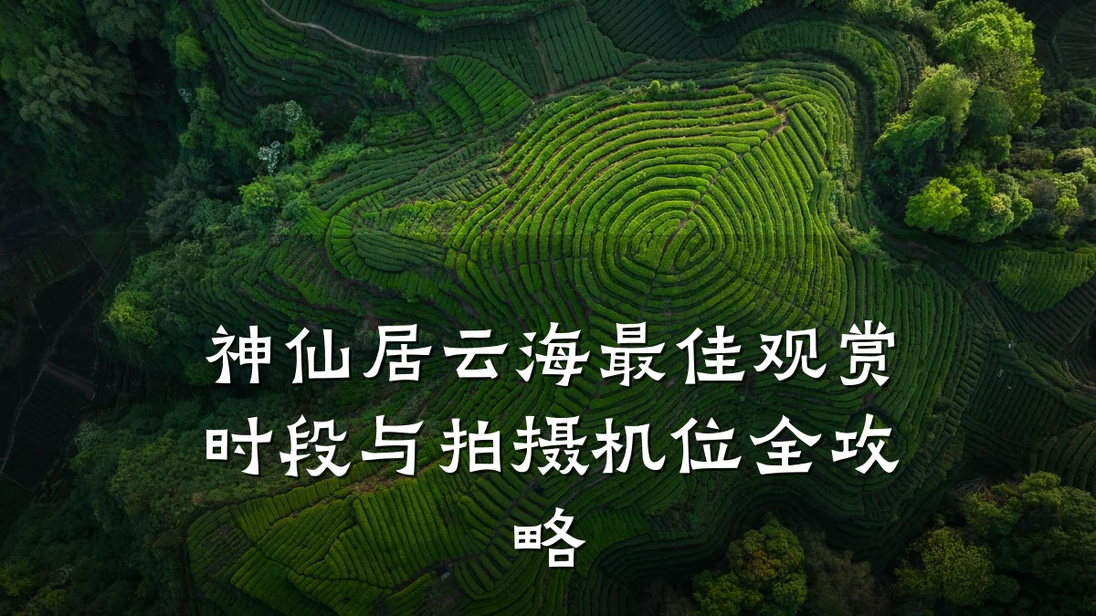 神仙居云海最佳观赏时段与拍摄机位全攻略