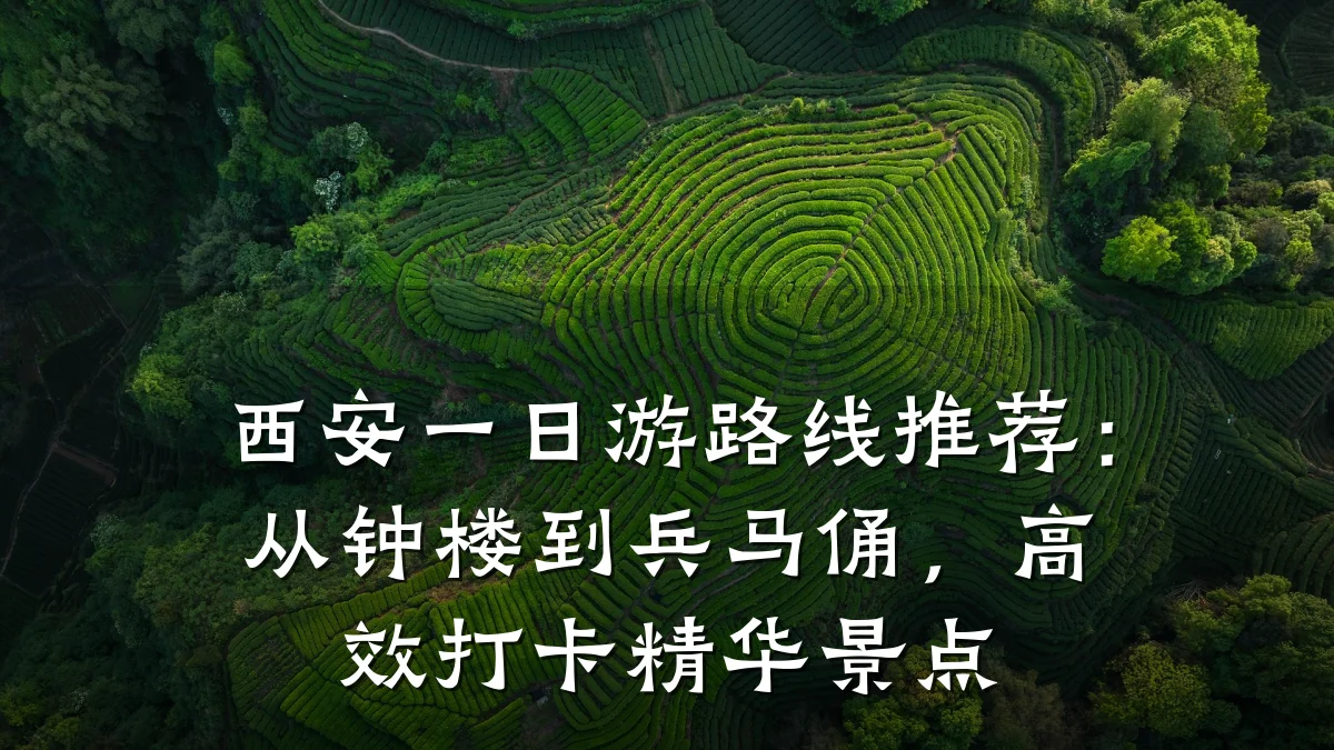 西安一日游路线推荐:从钟楼到兵马俑,高效打卡精华景点