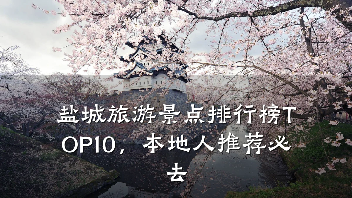 盐城旅游景点排行榜TOP10,本地人推荐必去