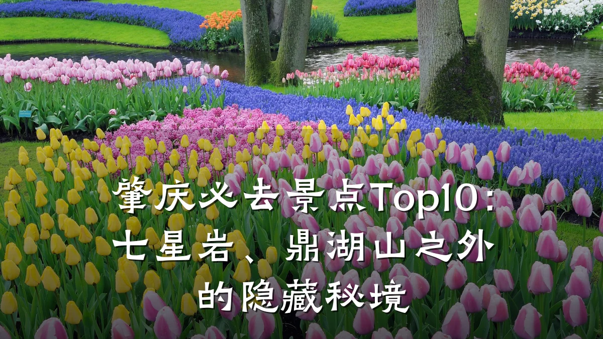 肇庆必去景点Top10：七星岩、鼎湖山之外的隐藏秘境