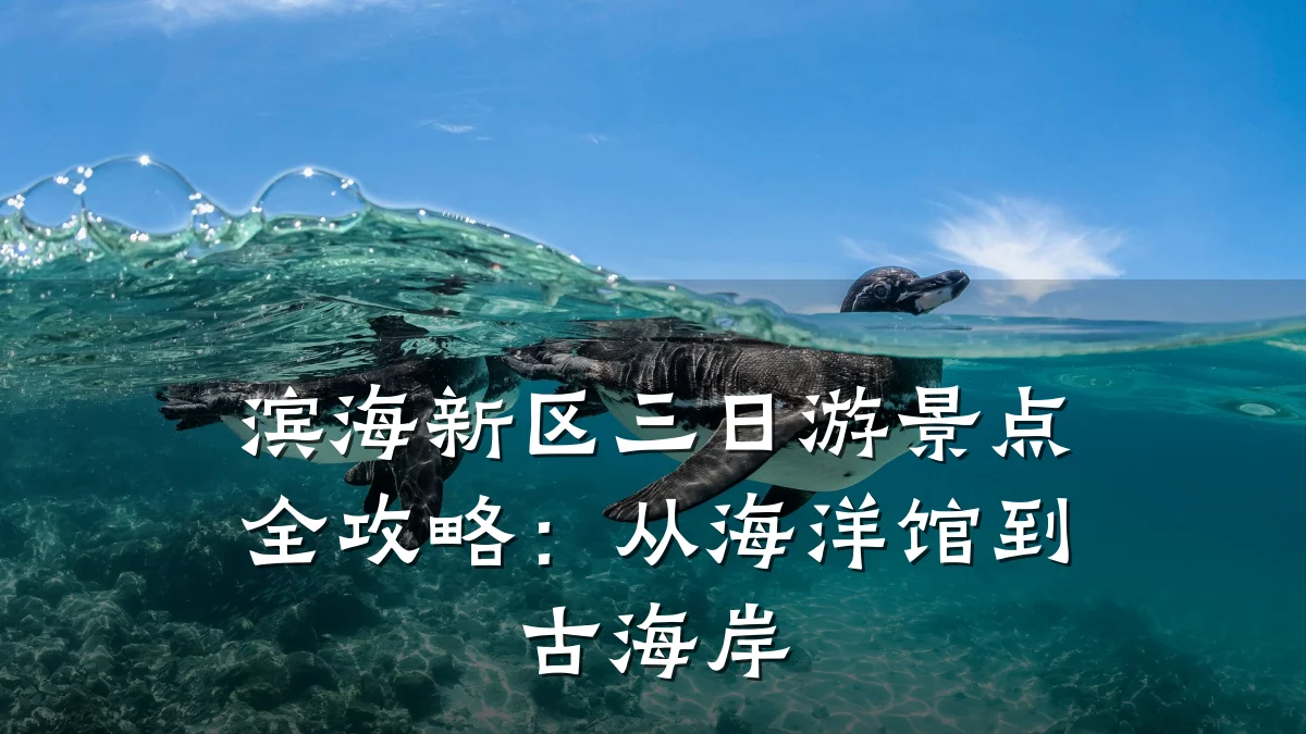 滨海新区三日游景点全攻略：从海洋馆到古海岸
