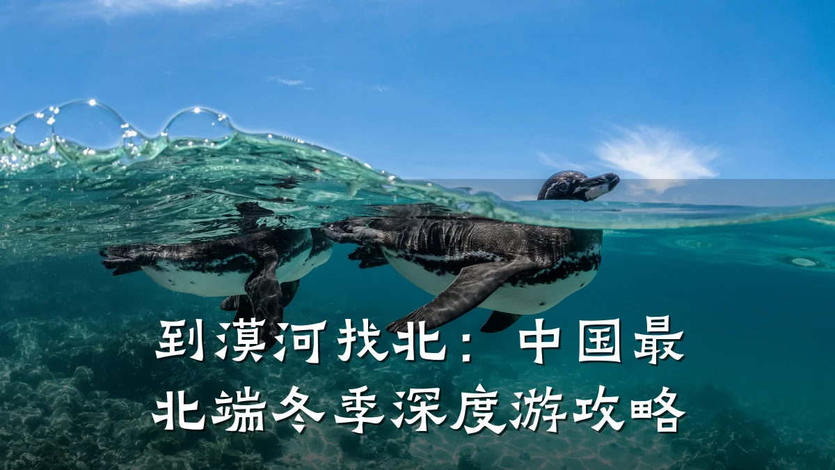 到漠河找北:中国最北端冬季深度游攻略