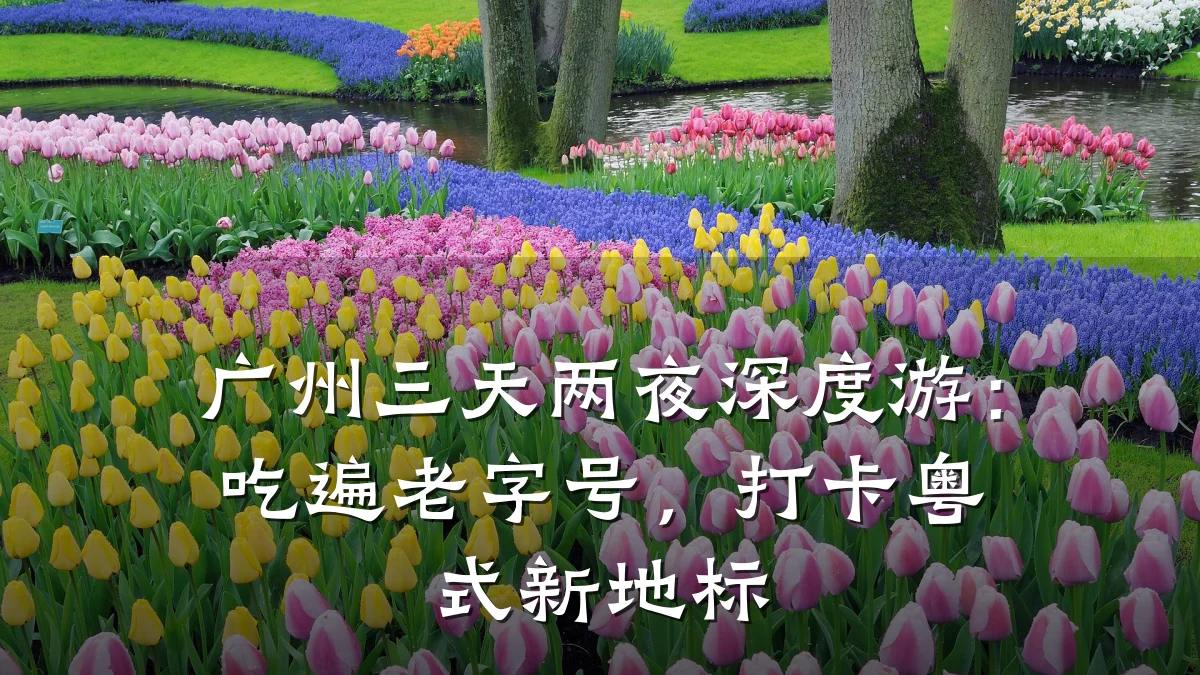 广州三天两夜深度游:吃遍老字号,打卡粤式新地标
