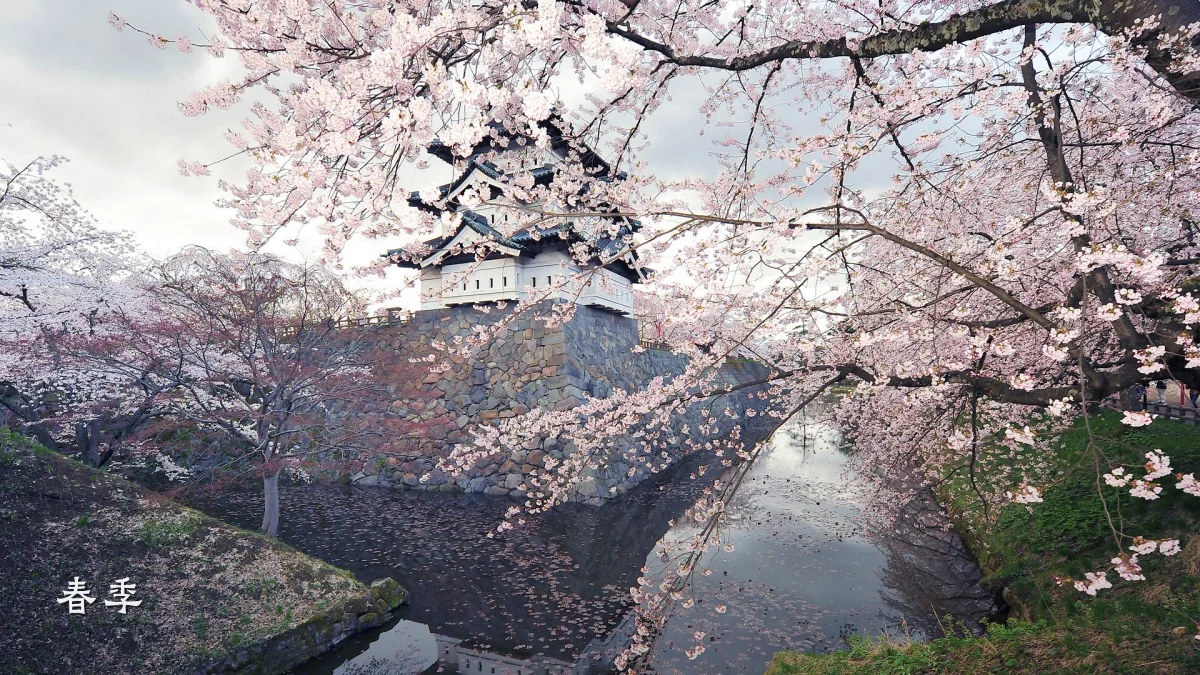 春季