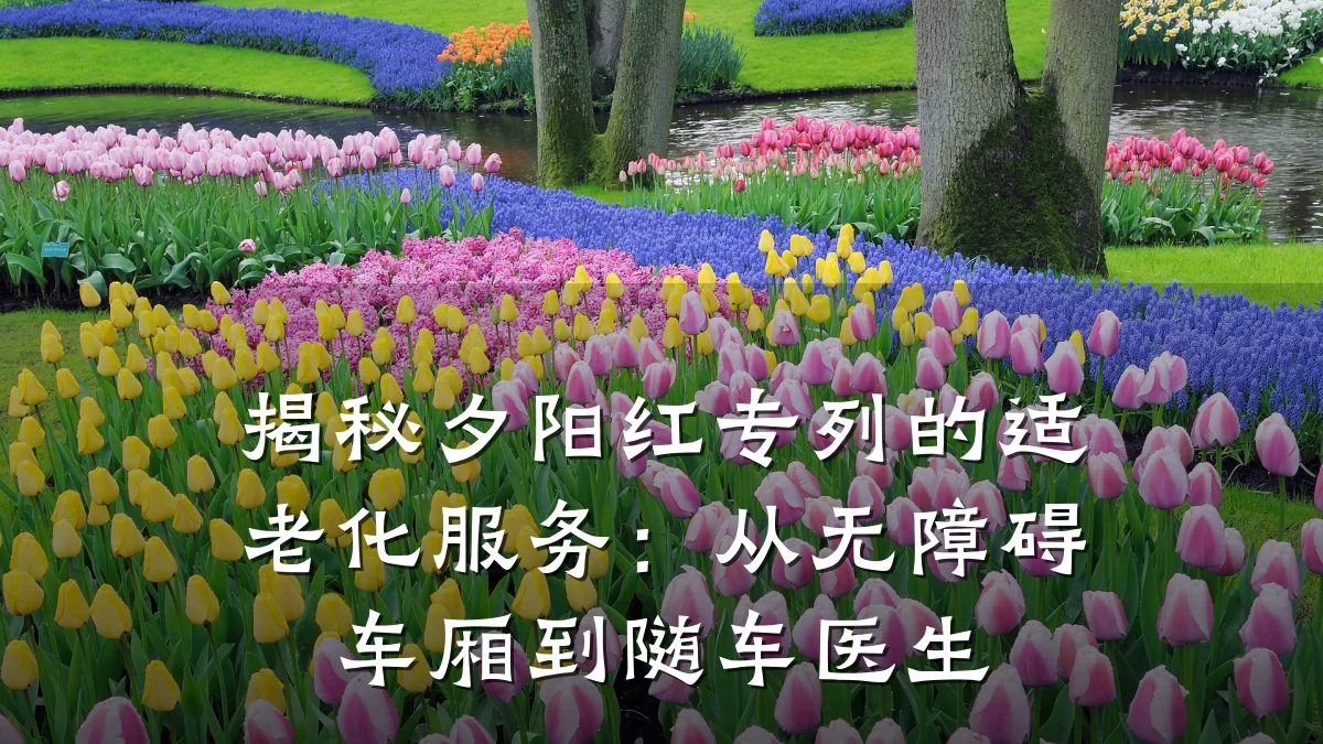 揭秘夕阳红专列的适老化服务:从无障碍车厢到随车医生