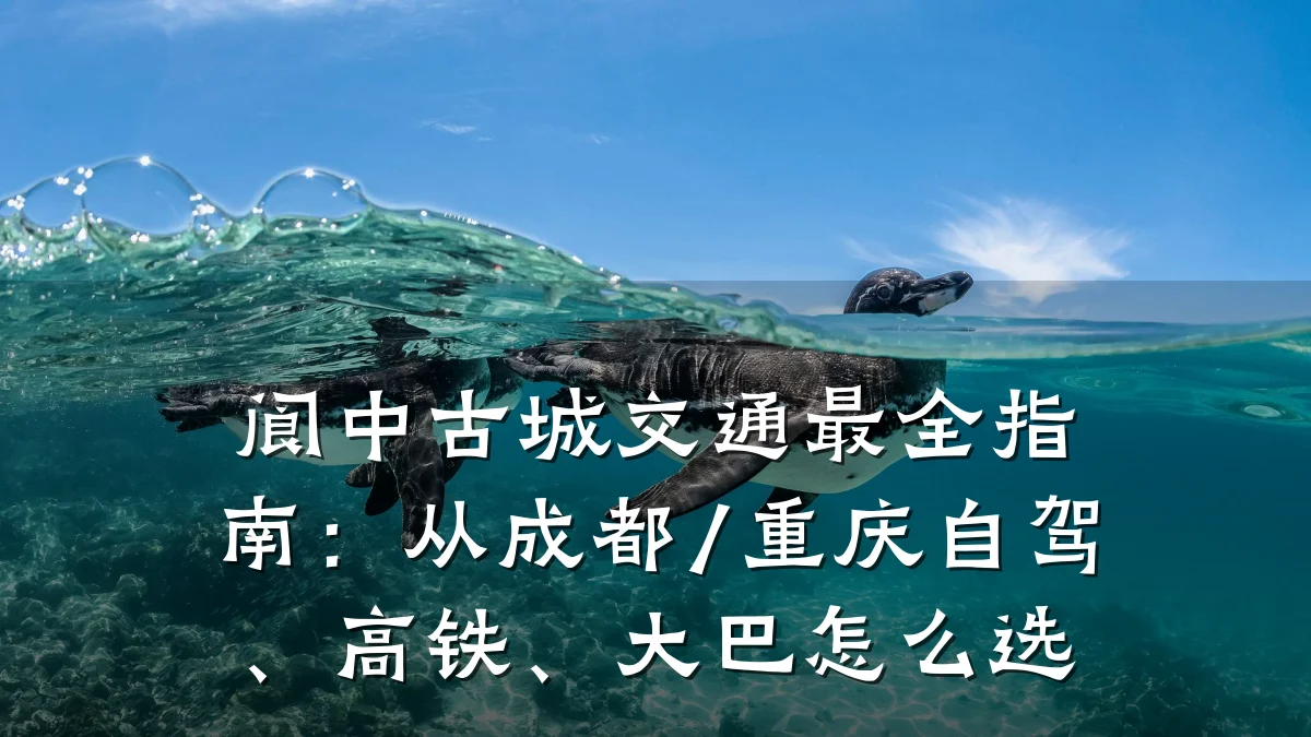 阆中古城交通最全指南:从成都/重庆自驾、高铁、大巴怎么选