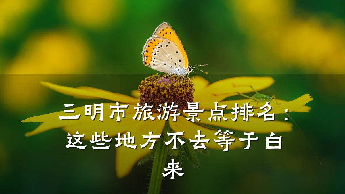 三明市旅游景点排名：这些地方不去等于白来
