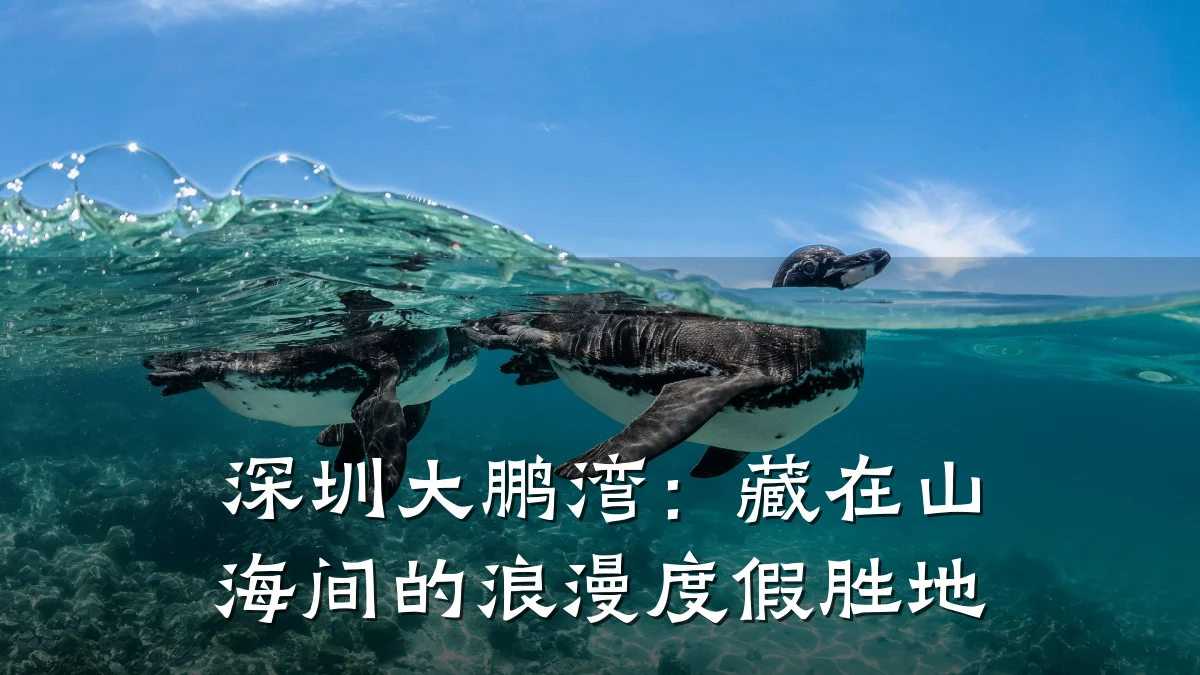 深圳大鹏湾：藏在山海间的浪漫度假胜地