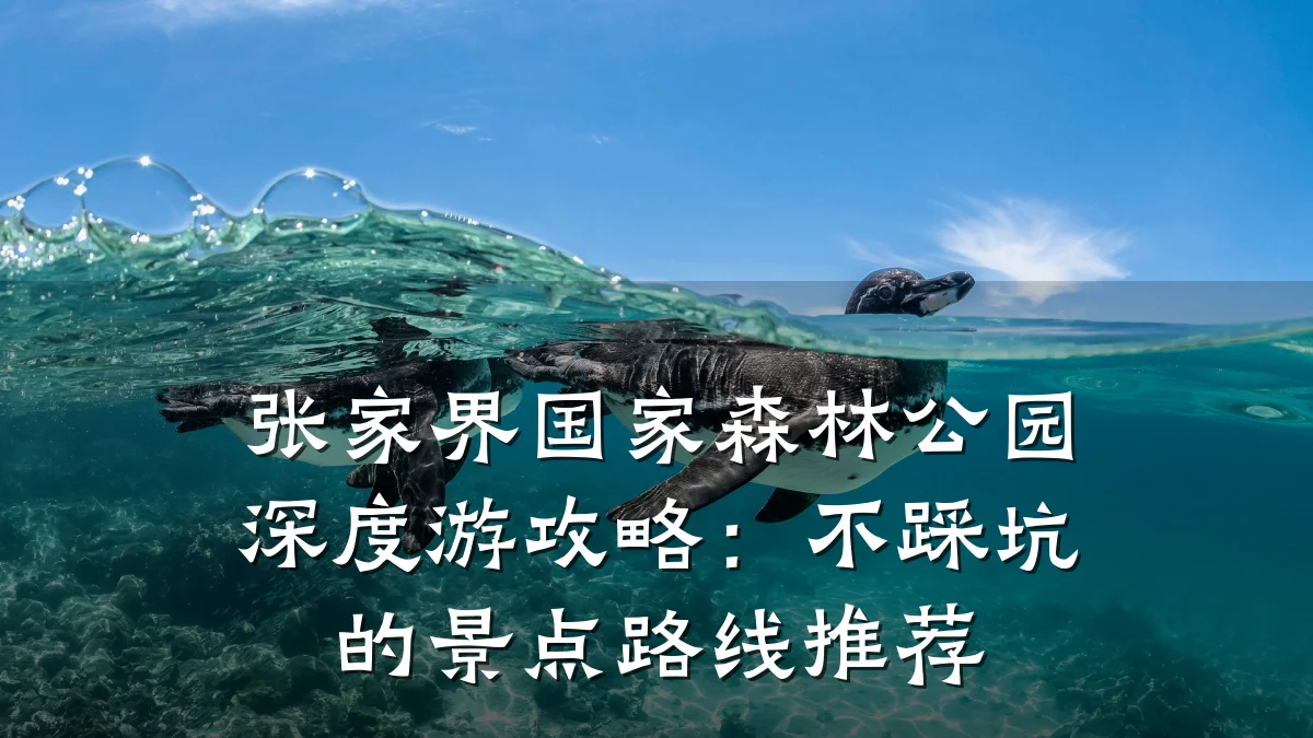 张家界国家森林公园深度游攻略:不踩坑的景点路线推荐