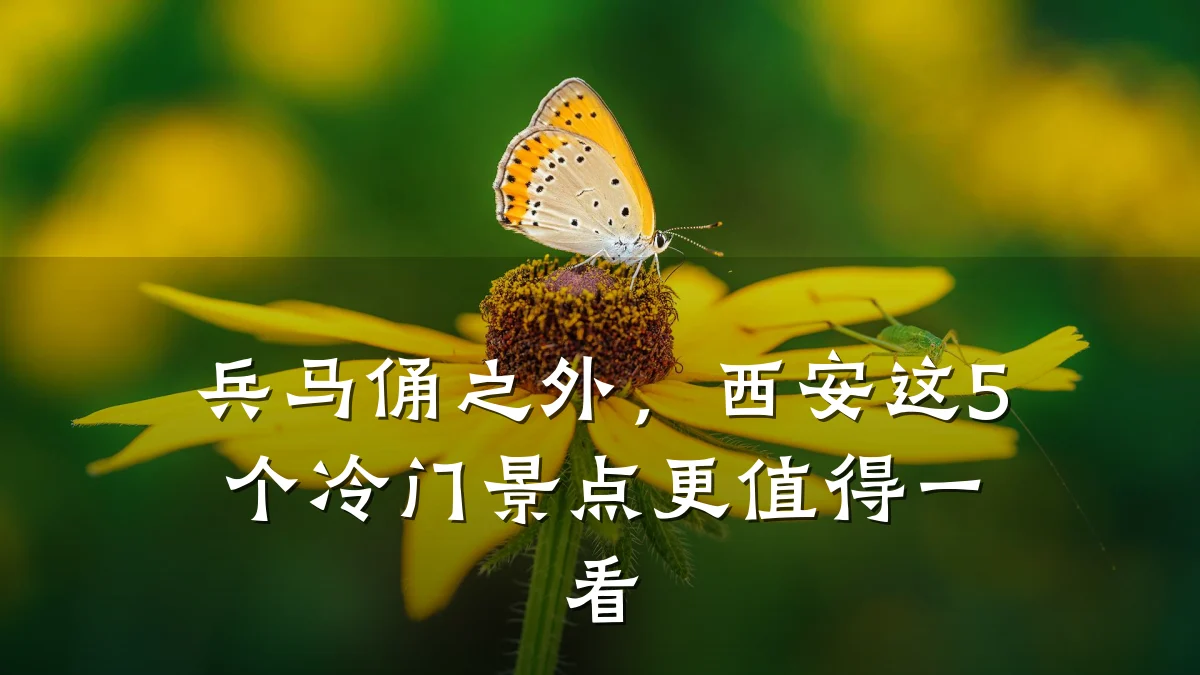 兵马俑之外，西安这5个冷门景点更值得一看
