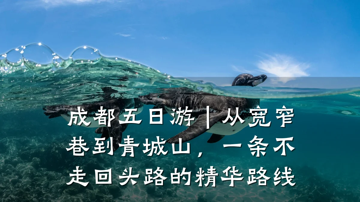 成都五日游|从宽窄巷到青城山,一条不走回头路的精华路线