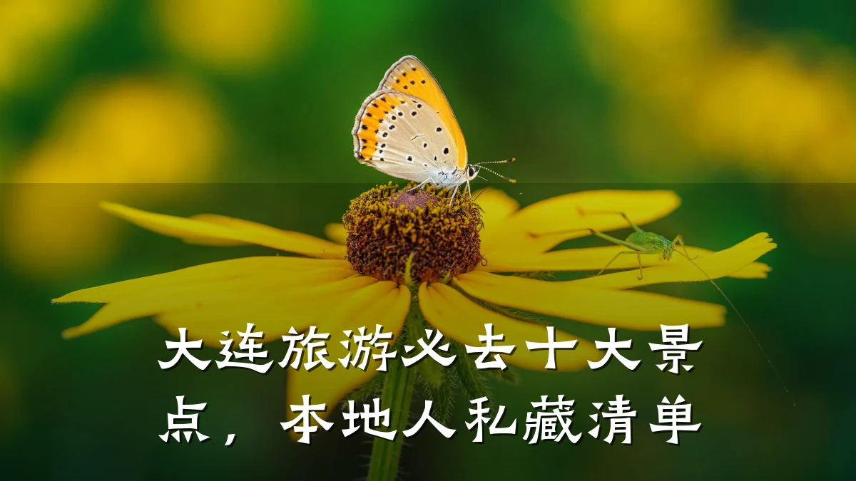 大连旅游必去十大景点，本地人私藏清单