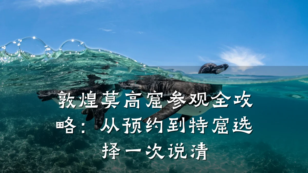 敦煌莫高窟参观全攻略：从预约到特窟选择一次说清