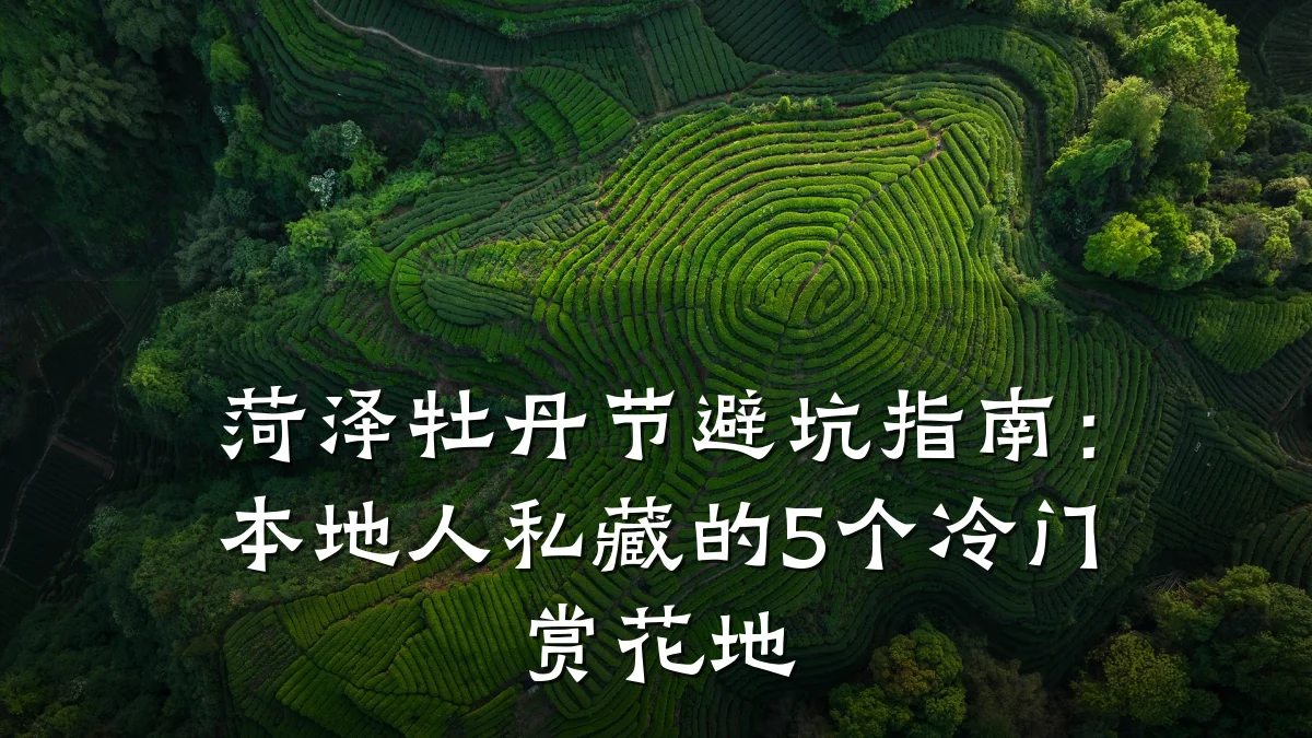 菏泽牡丹节避坑指南：本地人私藏的5个冷门赏花地