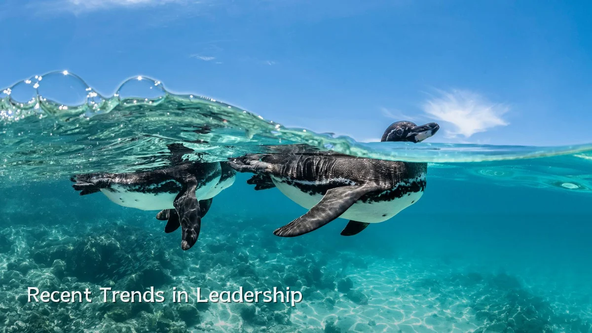 Recent Trends in Leadership