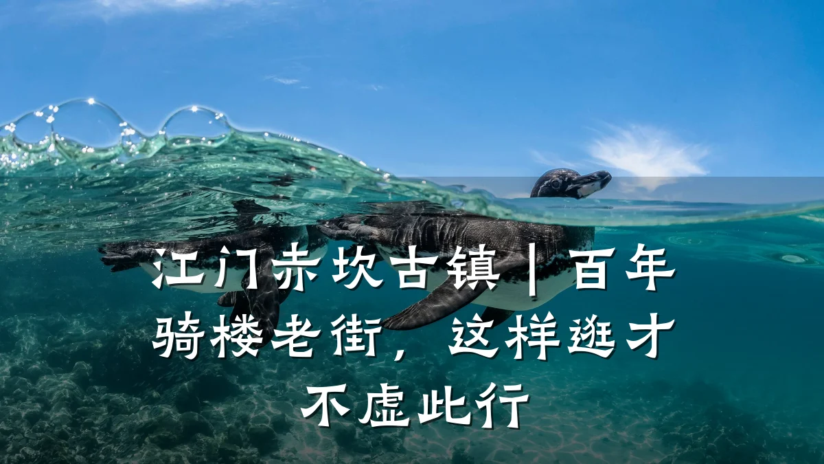 江门赤坎古镇｜百年骑楼老街，这样逛才不虚此行