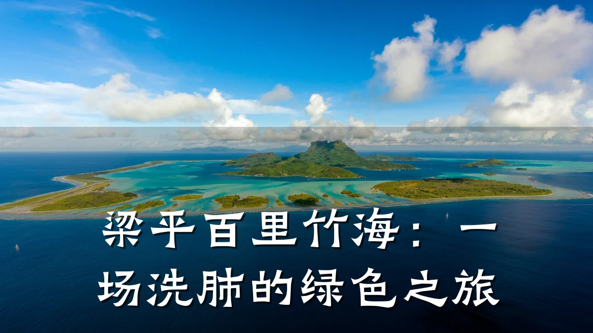 梁平百里竹海：一场洗肺的绿色之旅