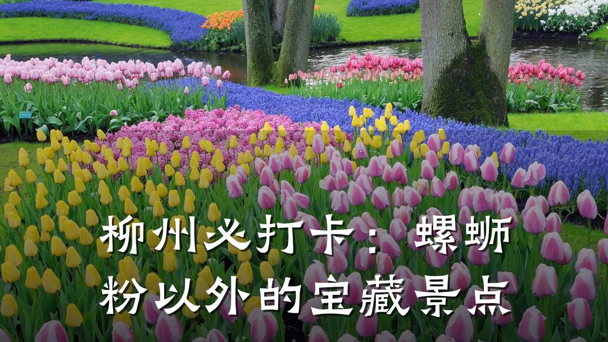 柳州必打卡：螺蛳粉以外的宝藏景点