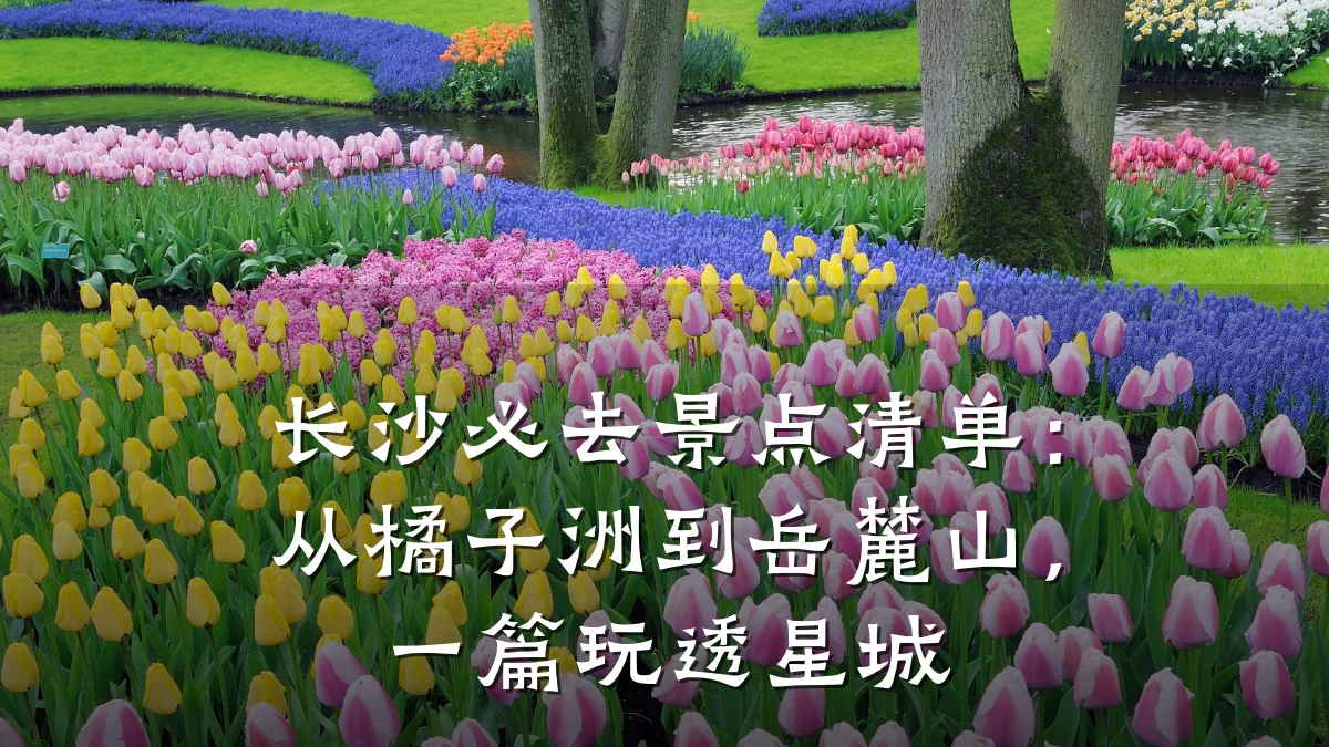 长沙必去景点清单：从橘子洲到岳麓山，一篇玩透星城