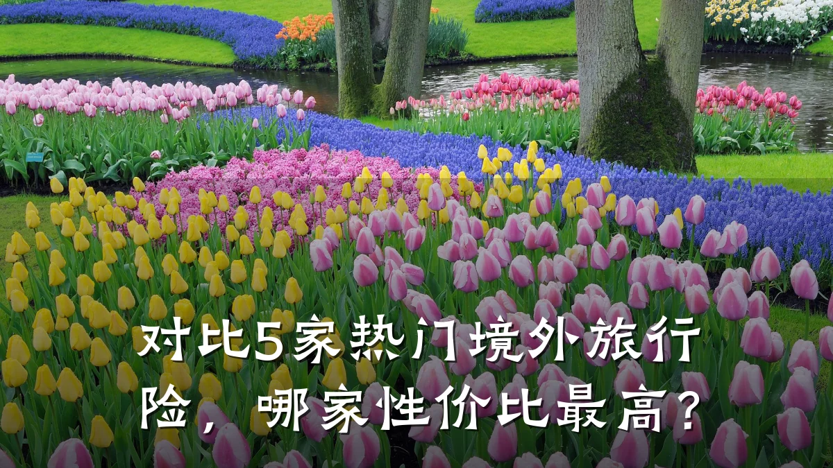 对比5家热门境外旅行险，哪家性价比最高？