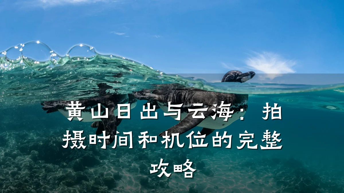 黄山日出与云海：拍摄时间和机位的完整攻略