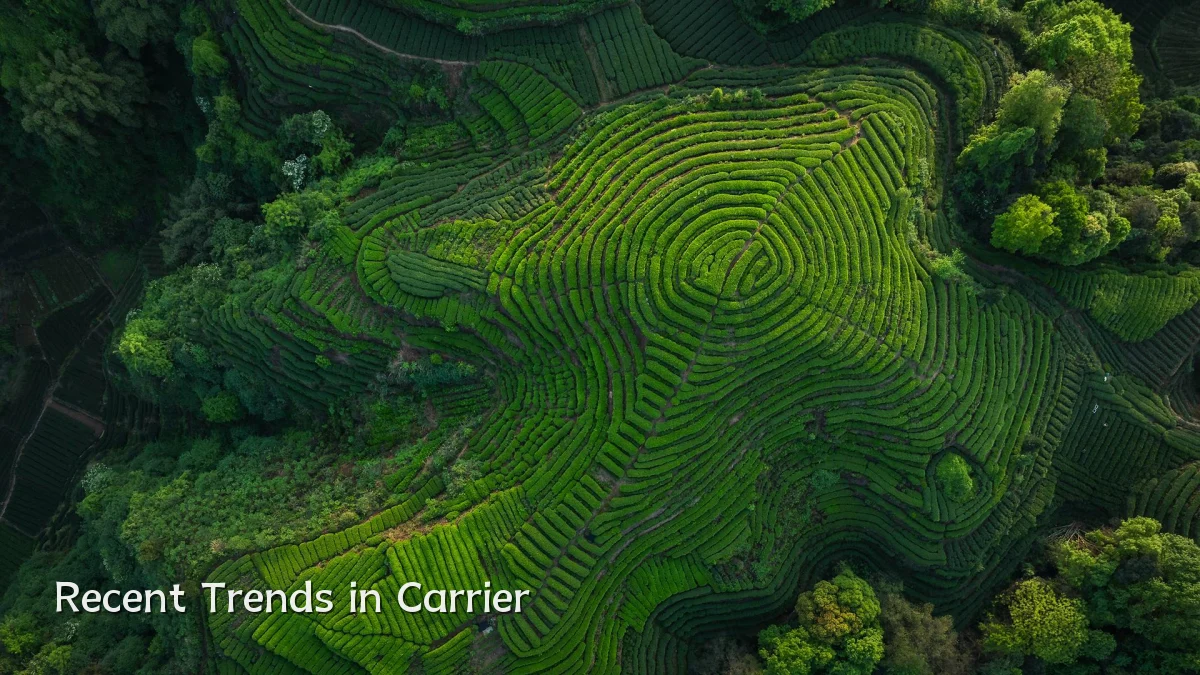 Recent Trends in Carrier