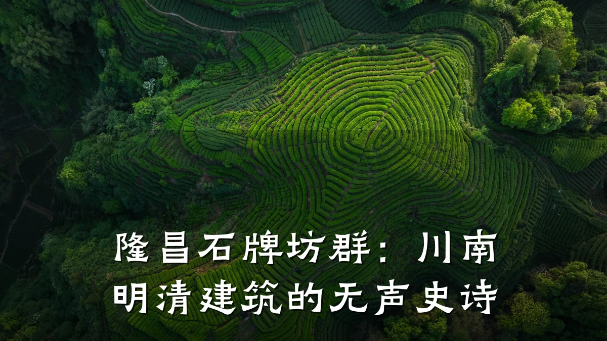 隆昌石牌坊群:川南明清建筑的无声史诗