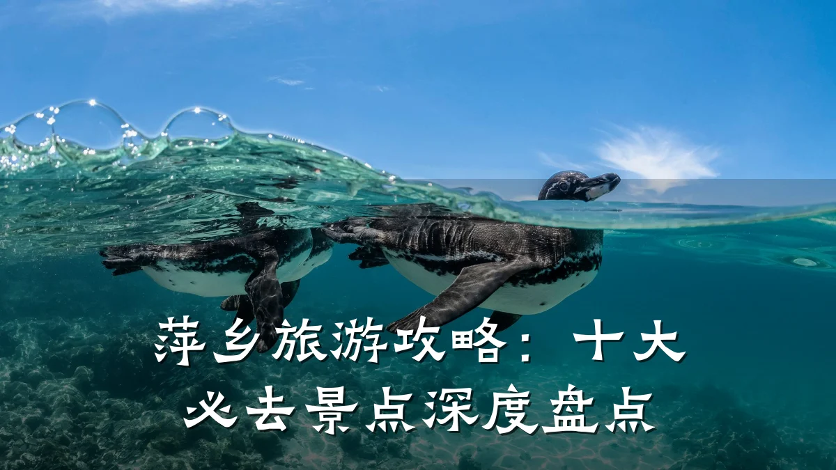 萍乡旅游攻略：十大必去景点深度盘点
